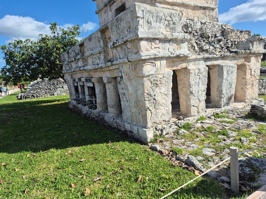 海洋观鲸鲨之旅-坎昆必去景点