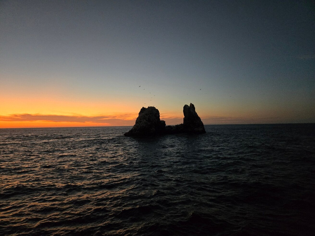 Archipielago Revillagigedo-卡波圣卢卡斯必去景点