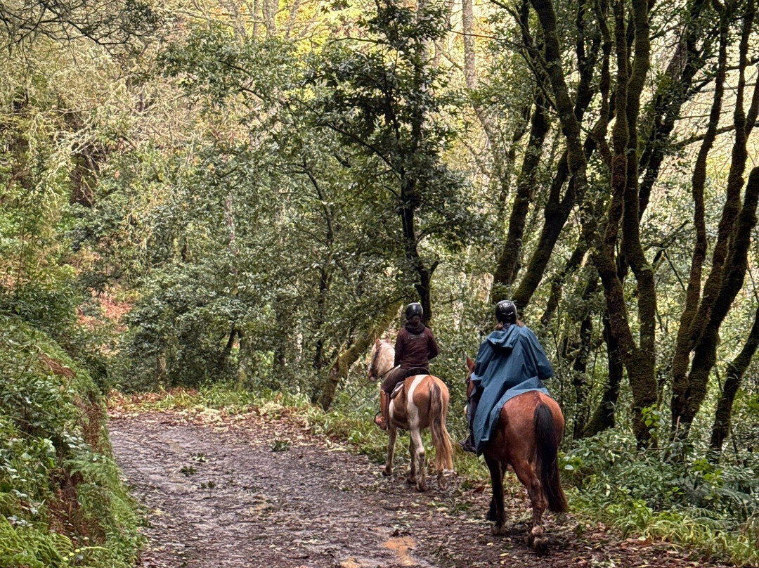 Equine Village by Quinta do Riacho-Santo da Serra必去景点