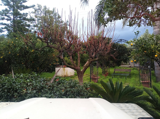 La Casetta B&B主图