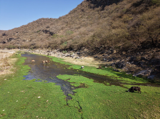 Salalah Explore Adventure Trips-塞拉莱必去景点