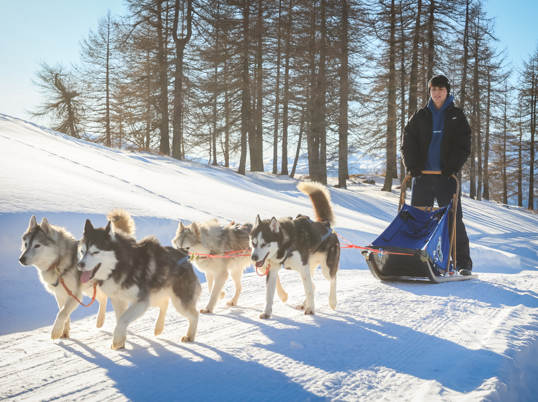 The Husky Experience Sestriere-Sestriere必去景点