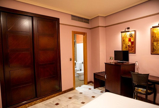 Hotel Don Miguel Plaza主图