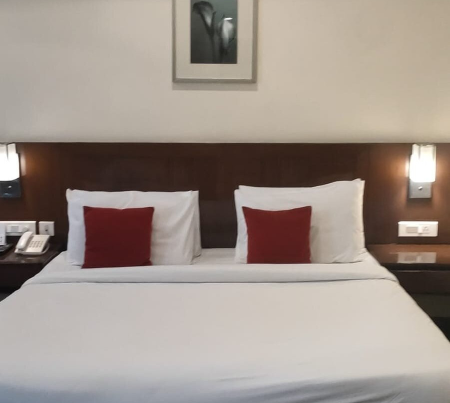 Red Fox by Lemon Tree Hotels, Alwar主图