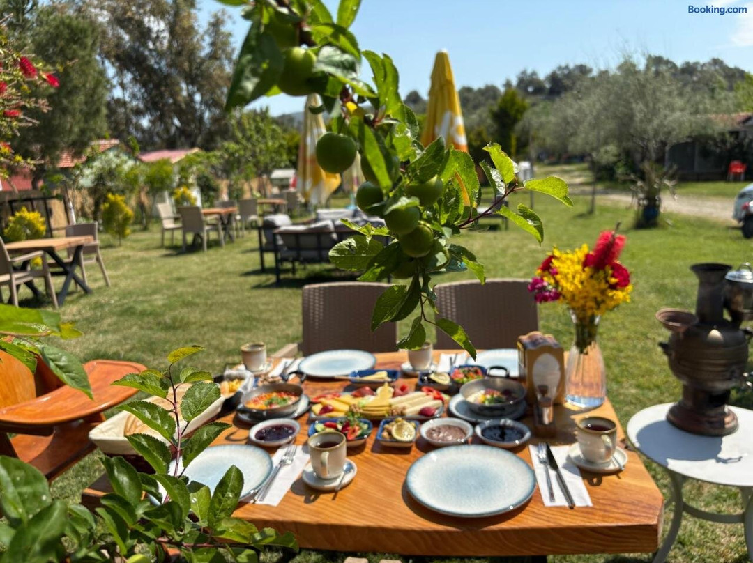 Gunes Tatil koyu