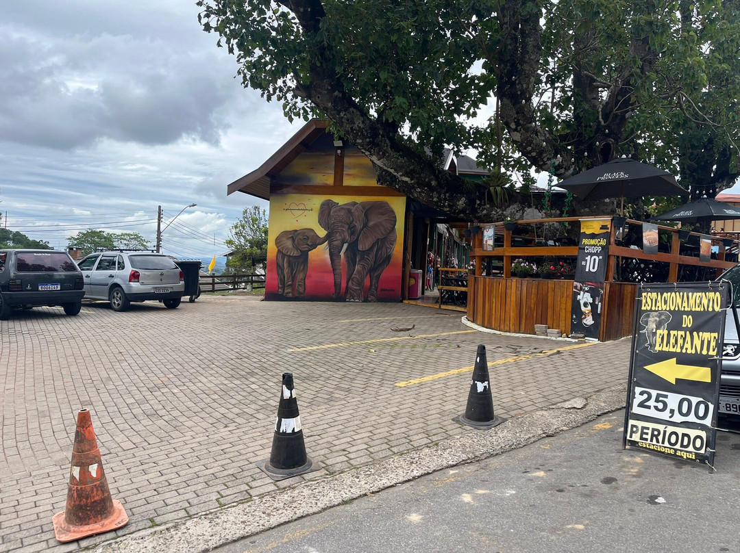 Parque dos Elefantes-坎普斯－杜若尔当必去景点