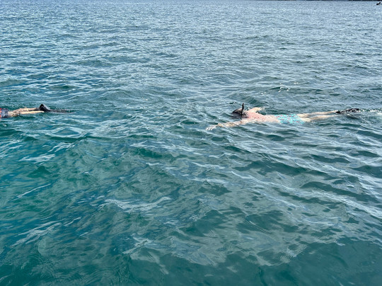 Life is Better at Sea-Playa Flamingo必去景点