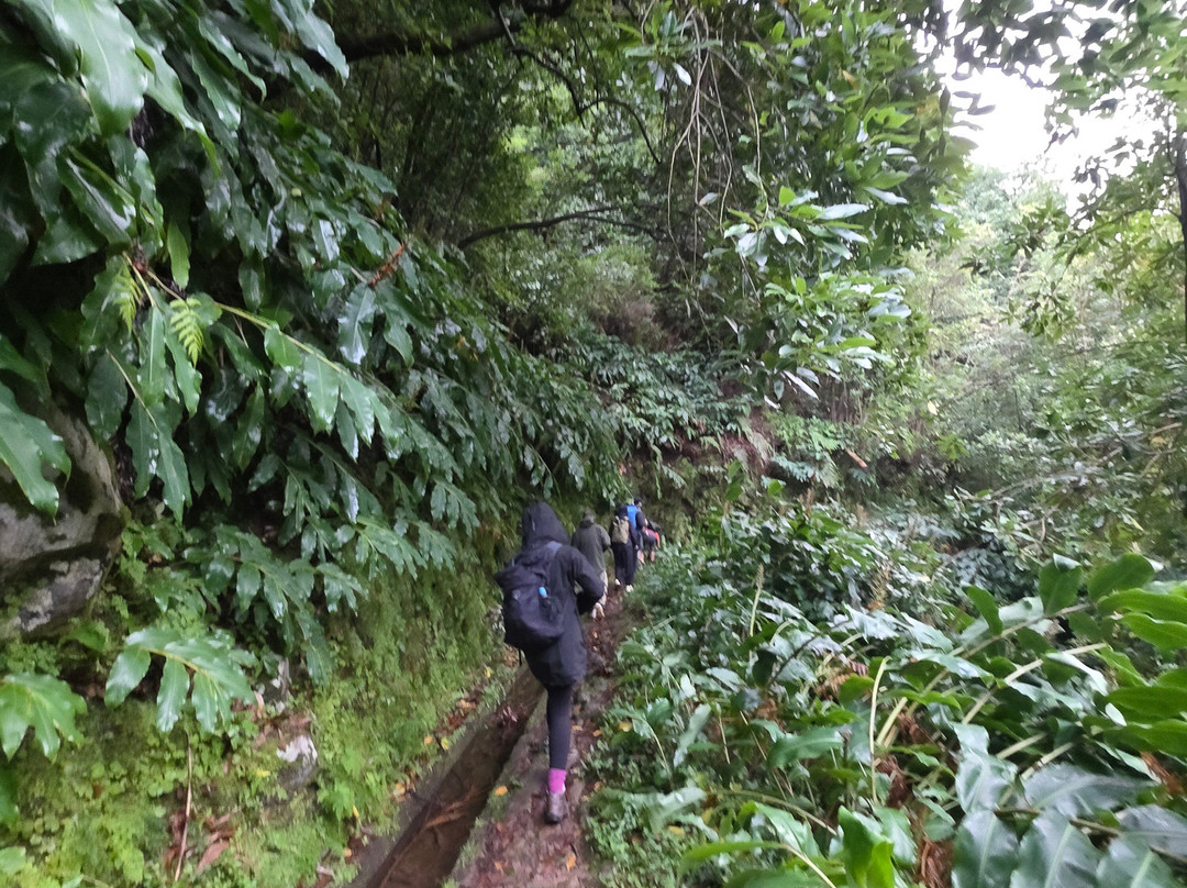 Madeira Wonder Hikes-沙尔必去景点