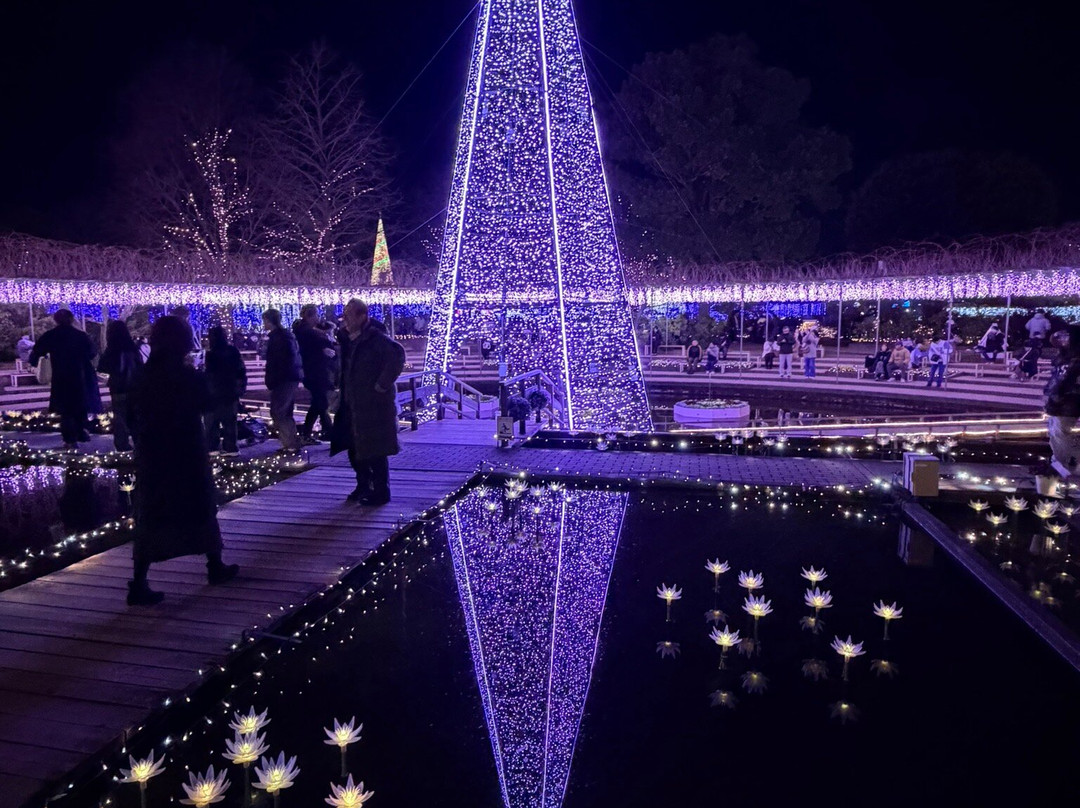 Ashikaga Flower Park-足利市必去景点