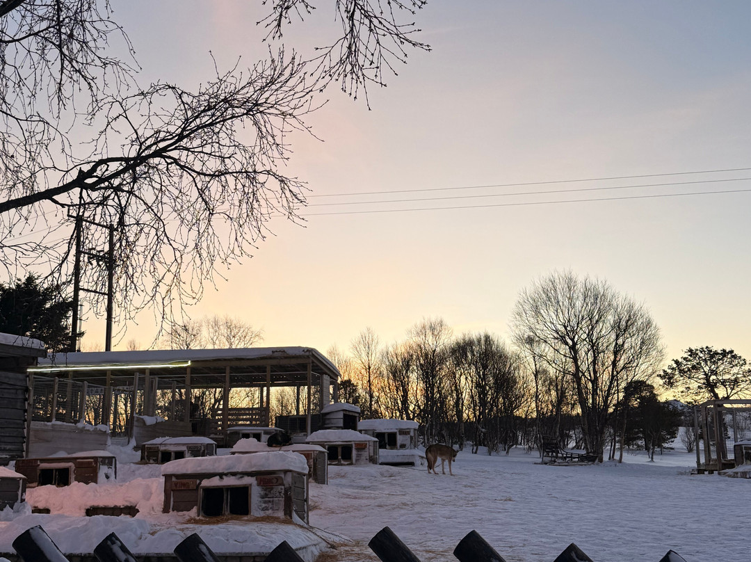 特罗姆瑟野外之旅-特罗姆瑟必去景点