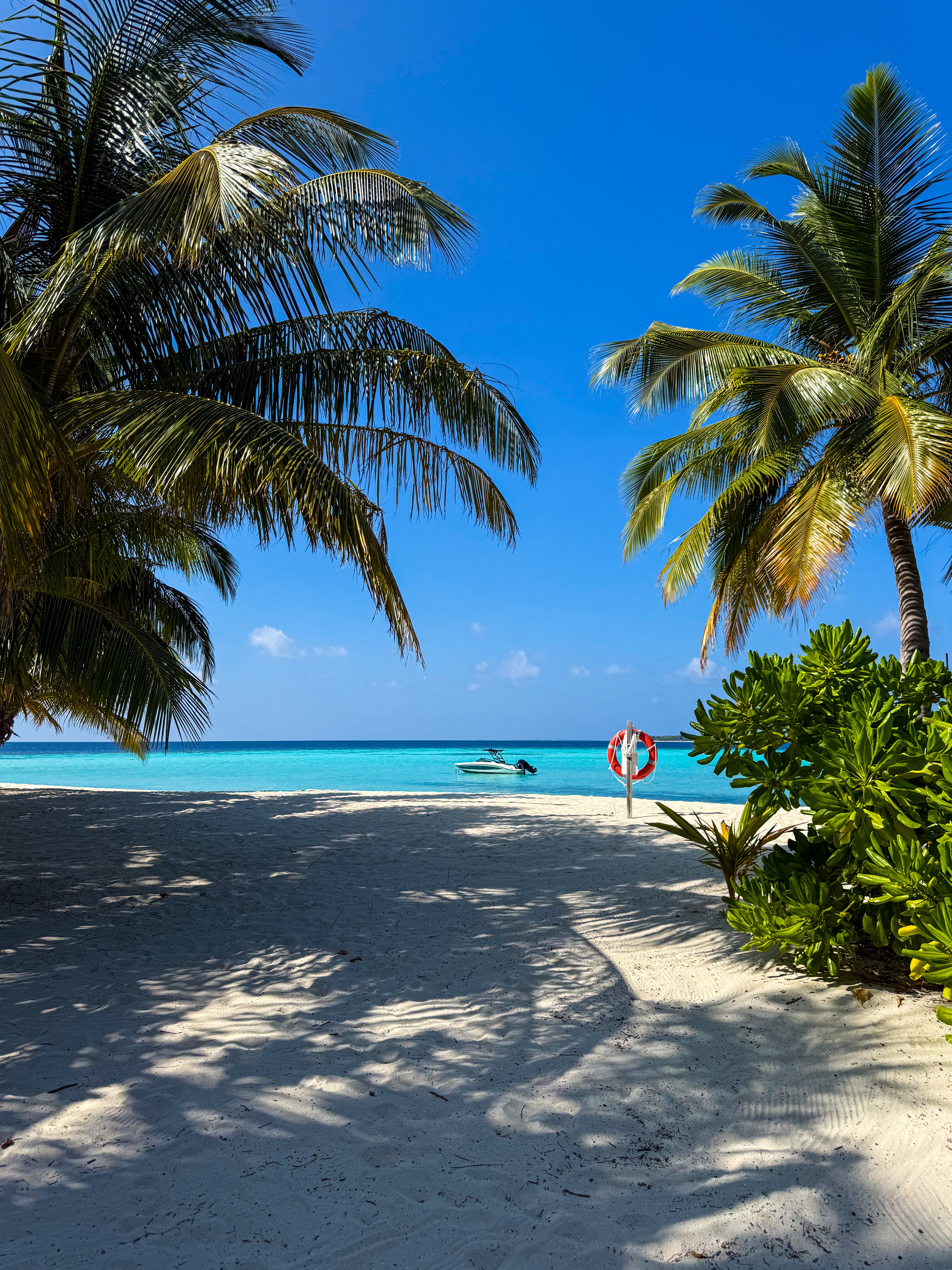 马尔代夫豪沃达岛诺翰精选度假酒店-官方