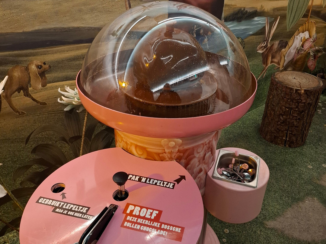 Bossche Bollen Belevenis-斯海尔托亨博斯必去景点