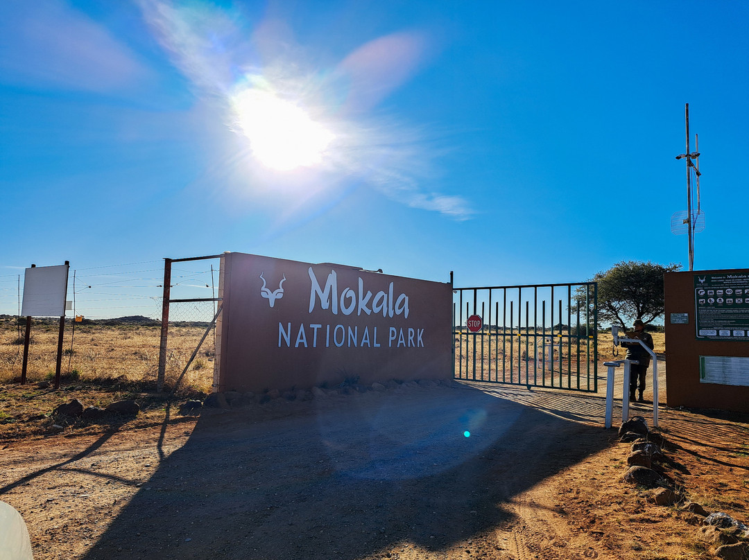 Mokala National Park-金伯利必去景点