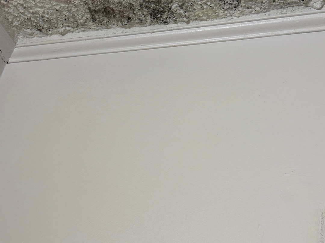 Soluxe El Sesteo主图