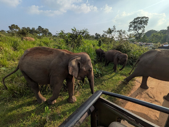 Ceylon Hunt-赛杜瓦必去景点