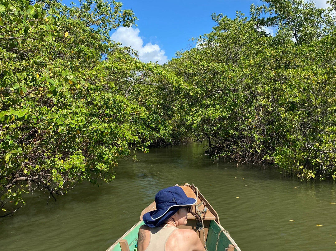 EcoParque Guaraíras-Senador Georgino Avelino必去景点