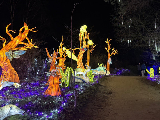 Beekse Bergen - Light Safari-希尔法伦贝克必去景点