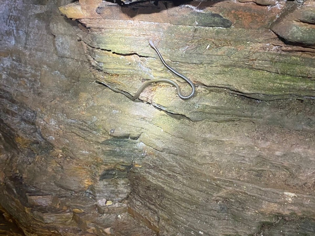 Gruta do labirinto-Sao Thome das Letras必去景点