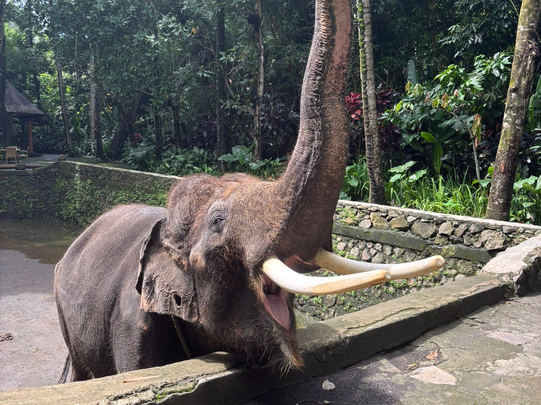 Iskandar Lombok Driver-Senggigi必去景点