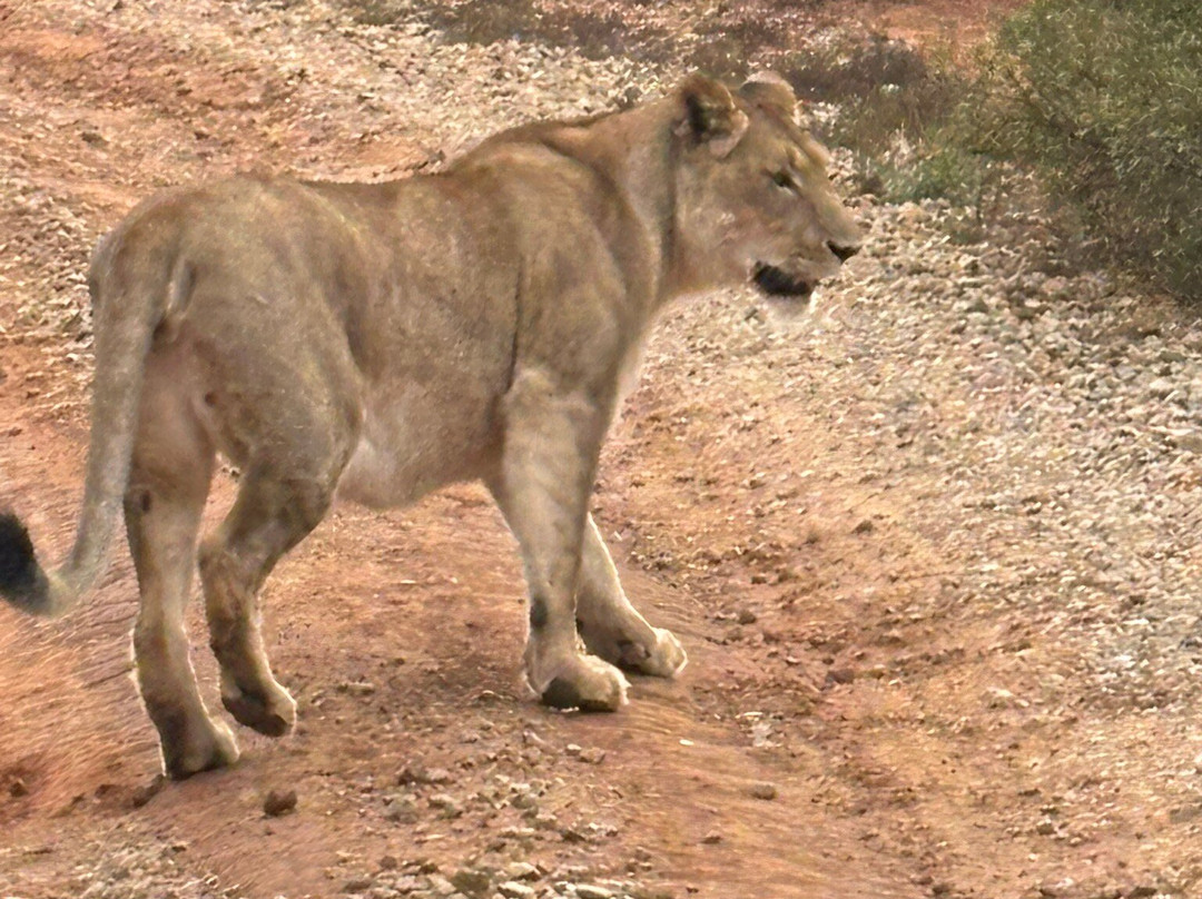Amakahala Game Reserve-Paterson必去景点
