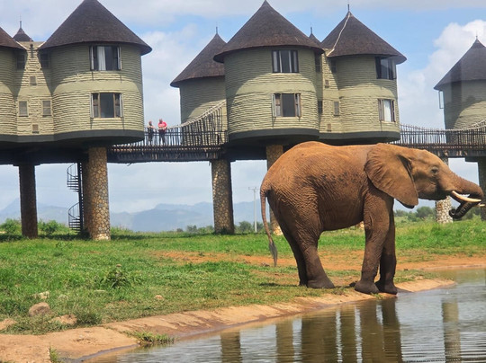 Benzi Kenya Safaris-瓦塔木必去景点