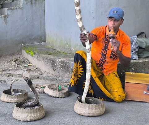Lux Tours Lanka-康提必去景点