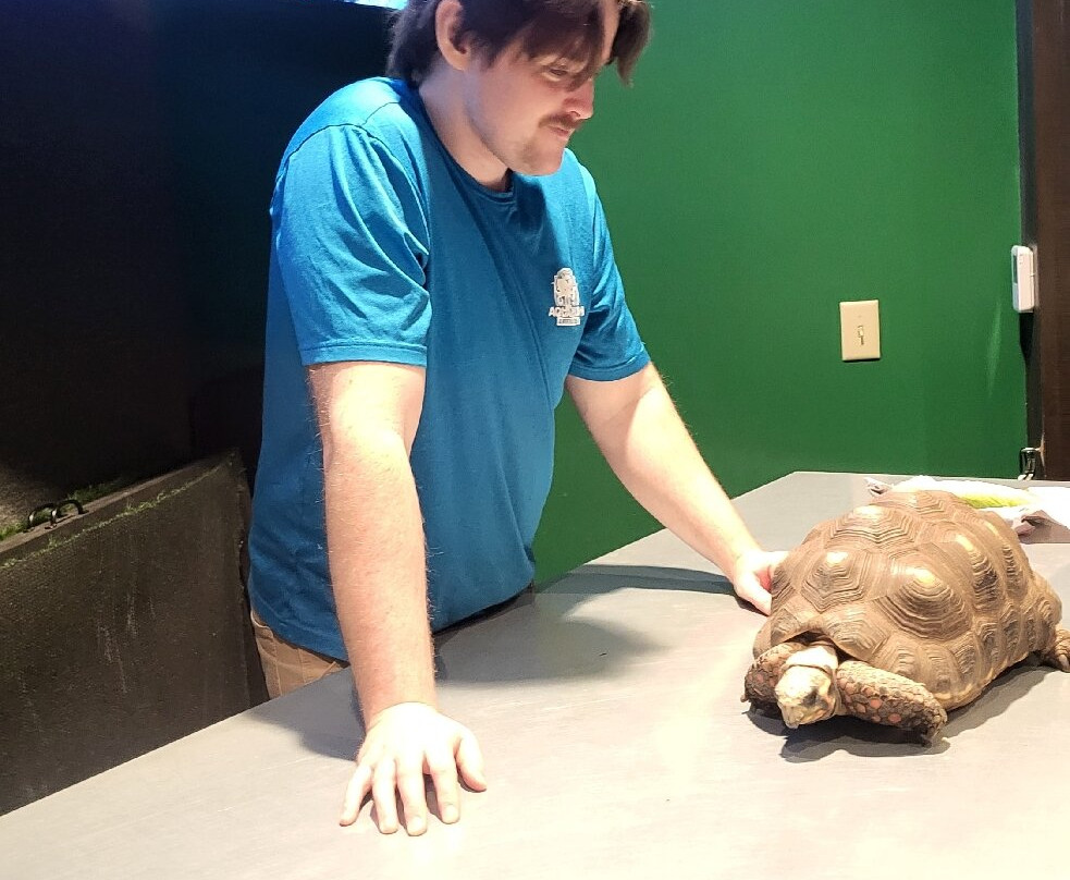 Electric City Aquarium & Reptile Den-斯克兰顿必去景点