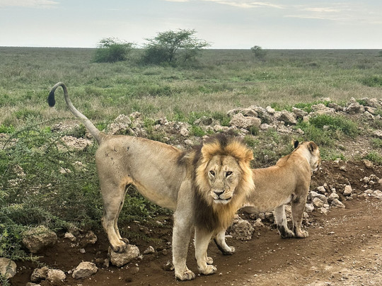 lets wander Tanzania-莫西必去景点