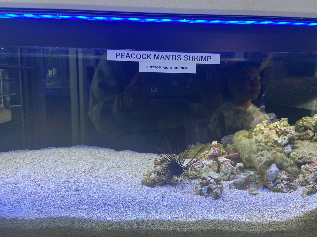 Boca Aquarium-博卡拉顿必去景点