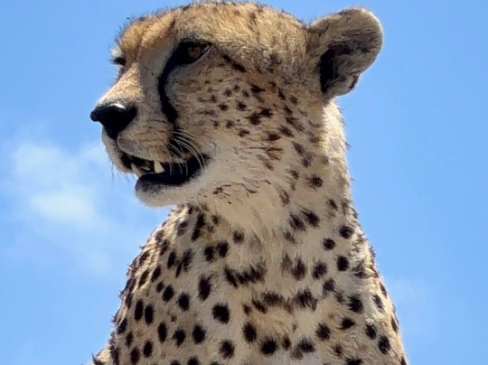 Tanzania Adventure Tours-阿鲁沙必去景点