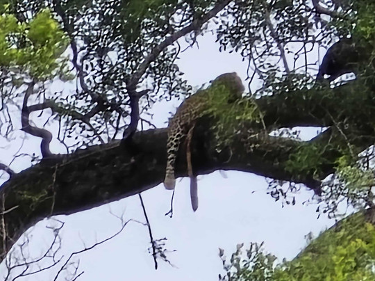 CD Tours - Day Trips-马里兰必去景点