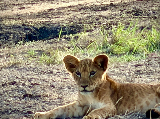 Mangia Fuoco Kenya Safari-瓦塔木必去景点