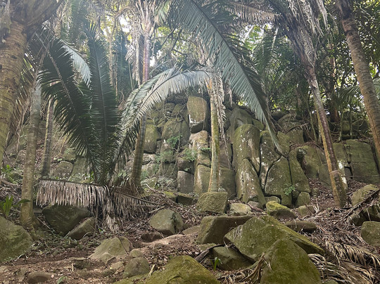 Mystic Embrace-Chacala必去景点