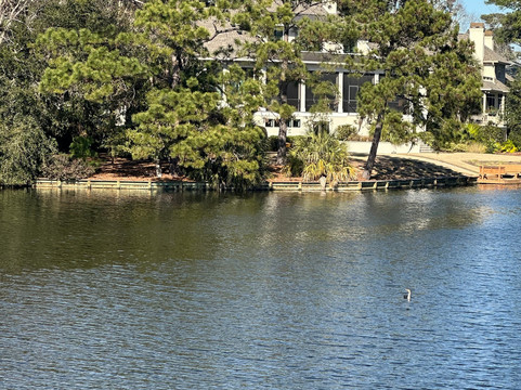 Arthur Hills Golf Course-希尔顿头岛必去景点