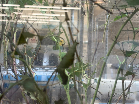 Canadian Museum Of Nature-渥太华必去景点