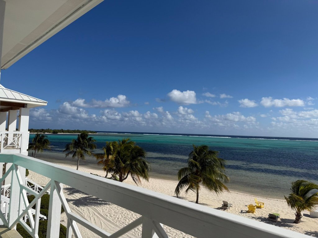 Southern Cross Club-官方