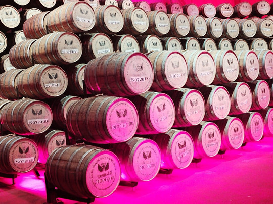 Distillerie J M-Macouba必去景点