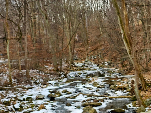 Rowlandsville Fishing Park-Conowingo必去景点