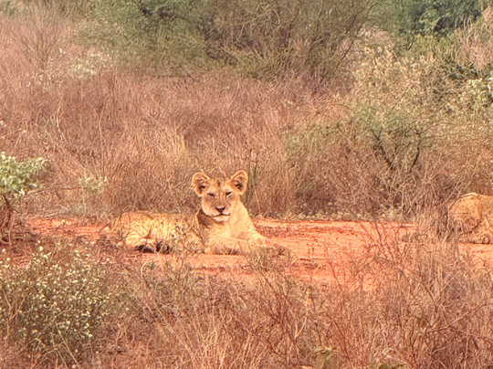 Fatti per Viaggiare-塔兰托必去景点