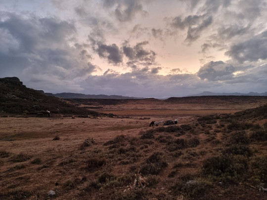 Bale Mountains Tours-Bale Mountains National Park必去景点