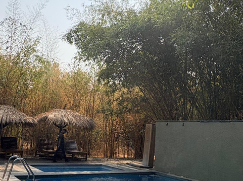 Safari Monks-Bandhavgarh National Park必去景点