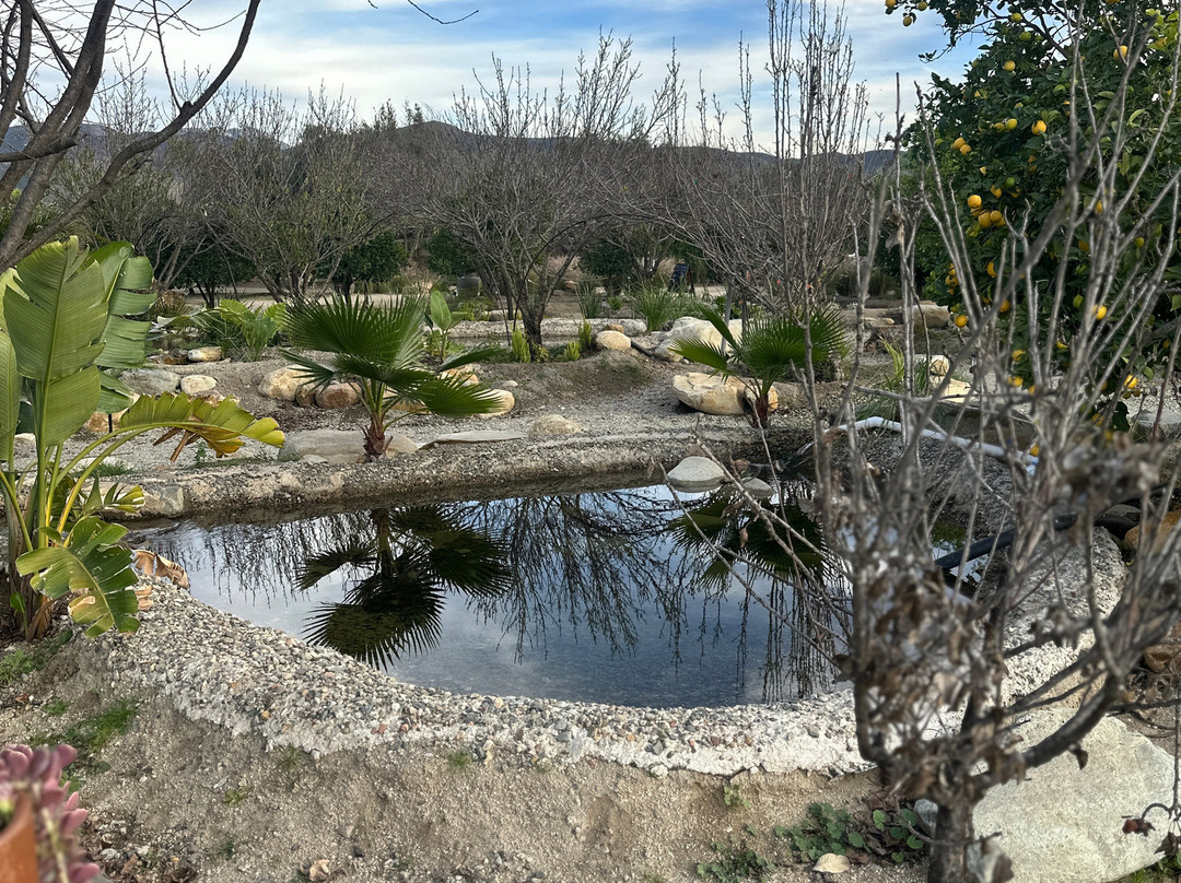 Campera Hotel Valle De Guadalupe主图