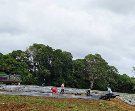 Organic Paradise Tour-萨拉皮奇必去景点