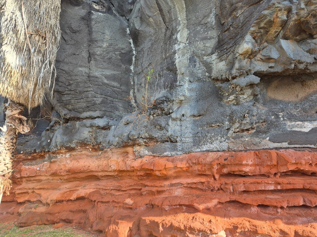 The Câmara de Lobos promenade-马德拉群岛必去景点
