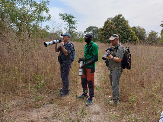 Gambian Bird Guide Ansuman Drammeh -  Best Boy Tours-塞瑞库达必去景点