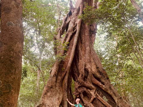 Wild View Stay主图