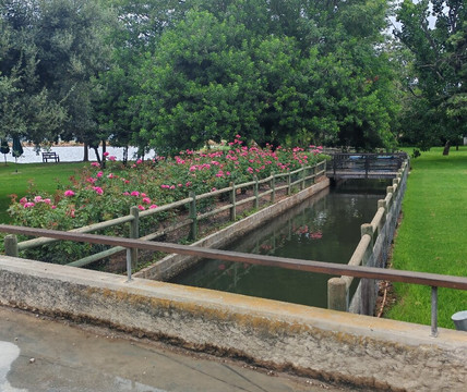 Woober Shuttles, Transfers & Tours-乔治必去景点