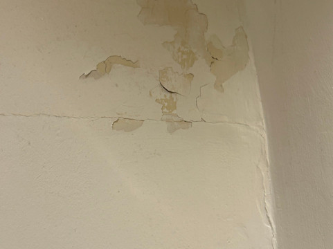 Innkeeper's Collection 旗下褐牛酒店主图