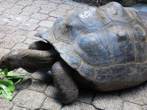 Mason's Travel-维多利亚必去景点