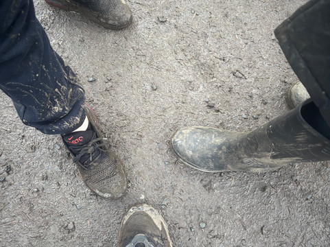 Hoo Zoo And Dinosaur World-特尔福德必去景点